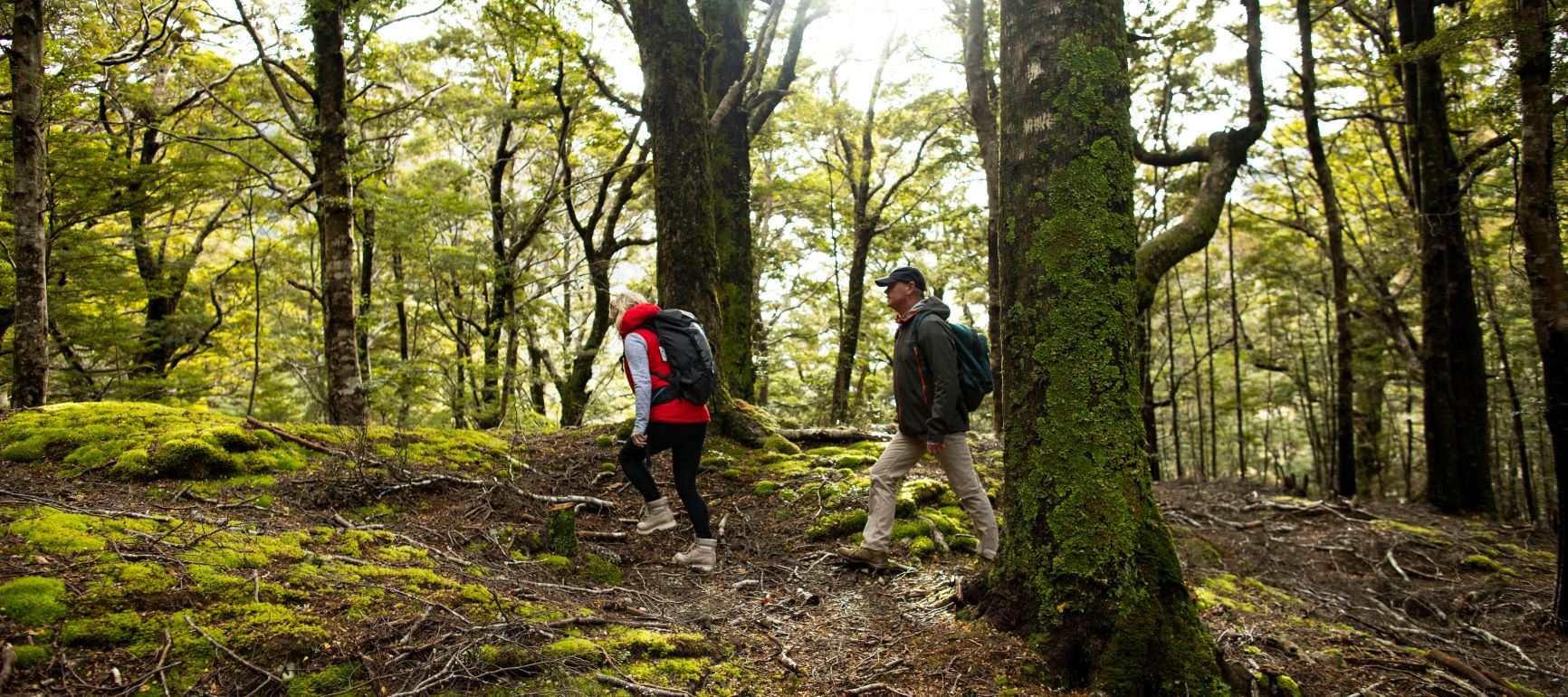 Greenstone Valley Nature Walk R5A3649 LR v4